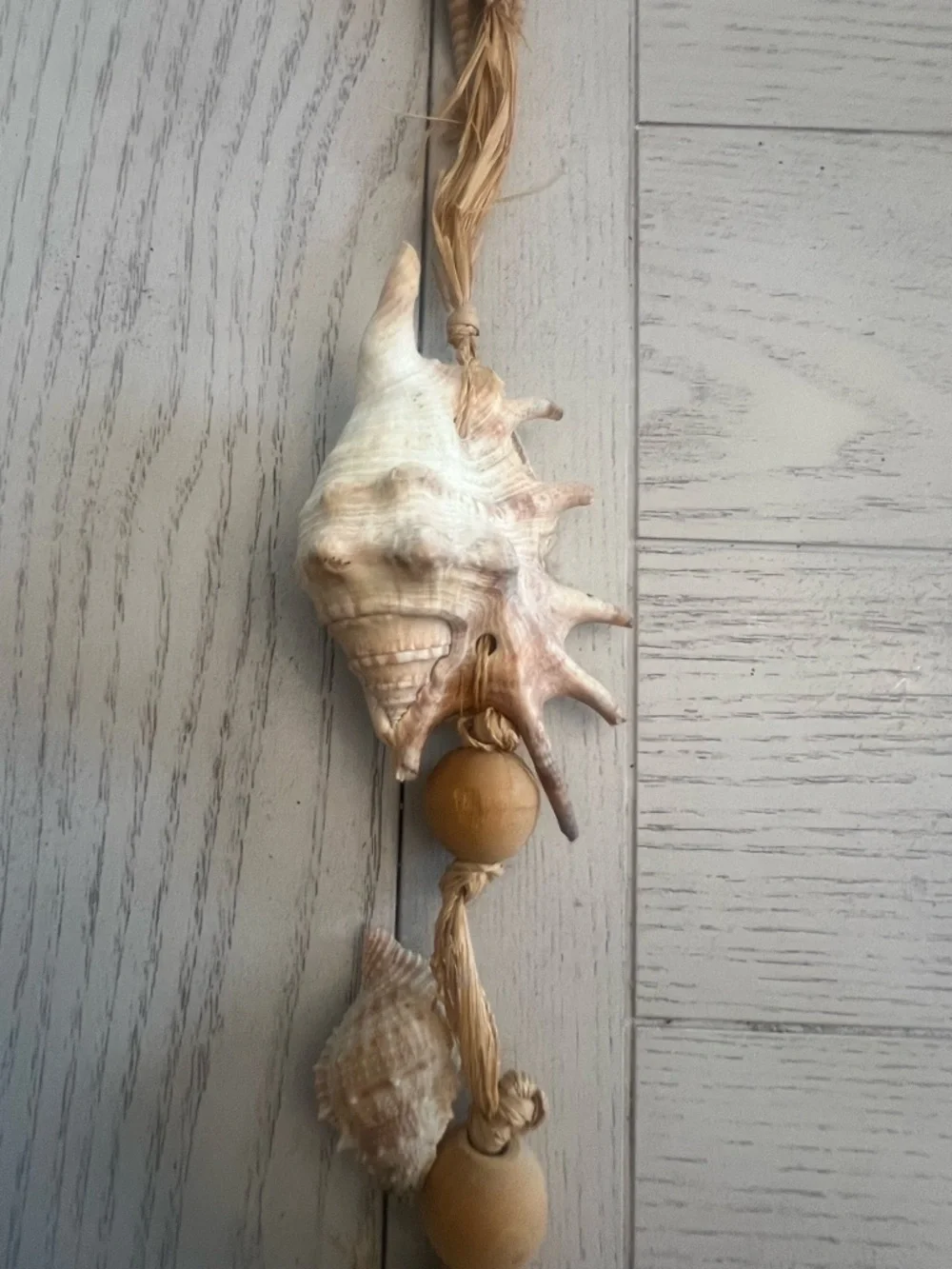 Neutral Seashell Tassel Wall Hanging - Natural Beige Home Accent
